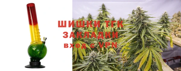 эйфоретик Касимов